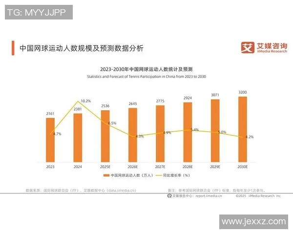深入探讨北京网球队的实力表现与数据分析的全面解读